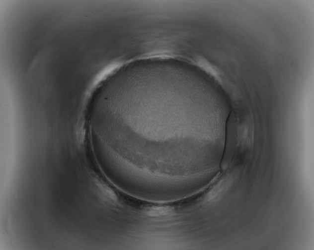 X0000088141406200705211126
