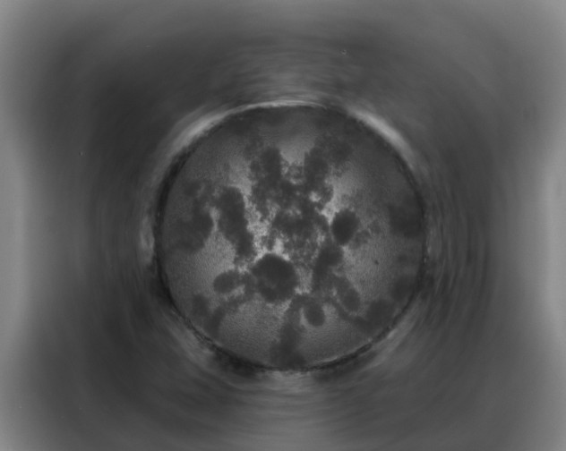 X0000088141407200705211126