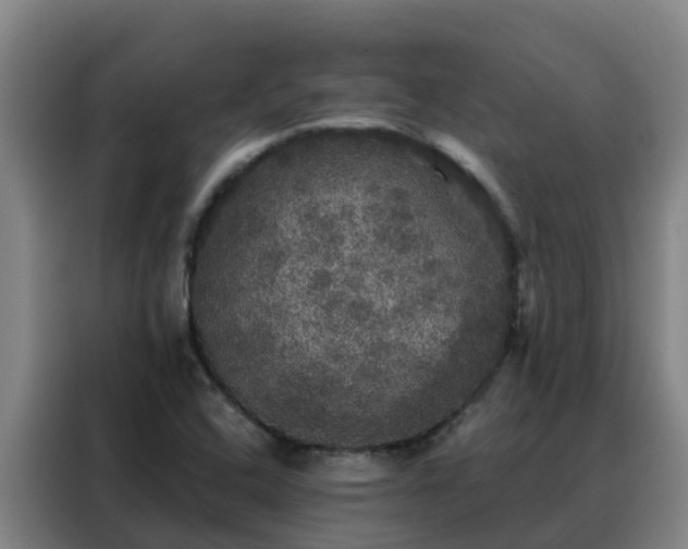 X0000088141408200705211126