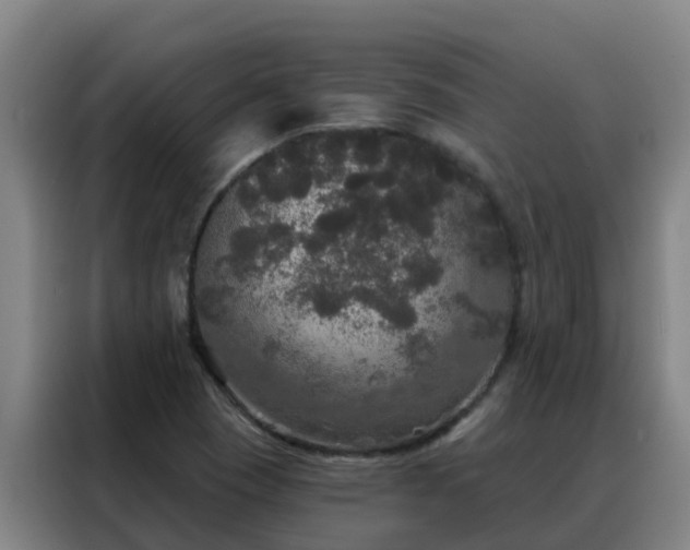 X0000088141409200705211126