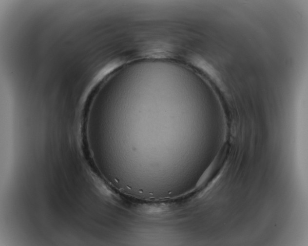 X0000088141410200705211126