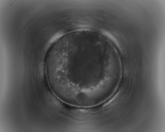 X0000088141411200705211126