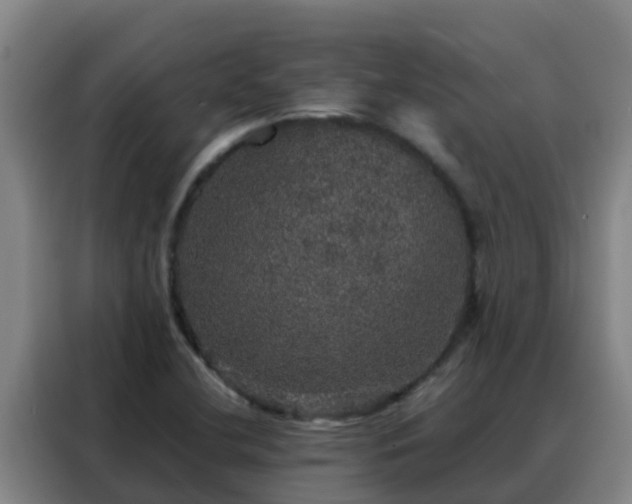 X0000088141412200705211126