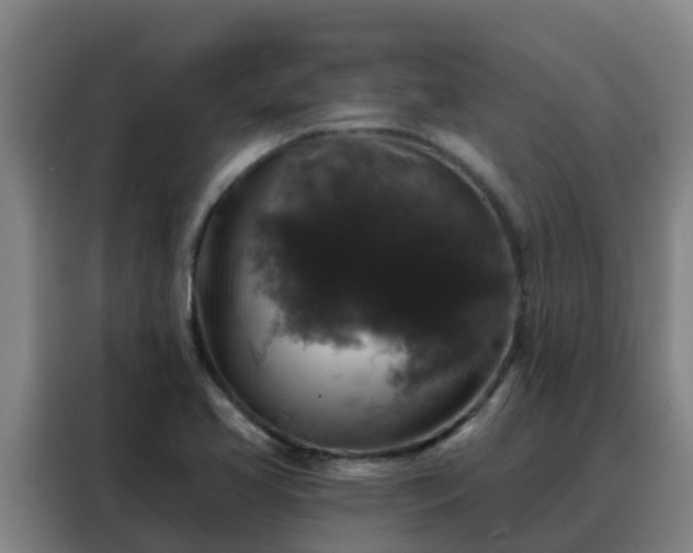 X0000088141413200705211126