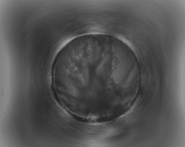 X0000088141415200705211126