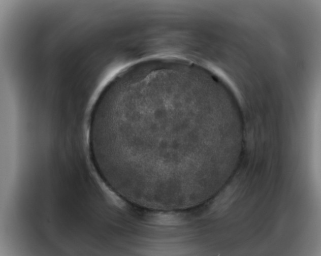 X0000088141416200705211126
