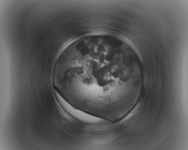 X0000088141417200705211127