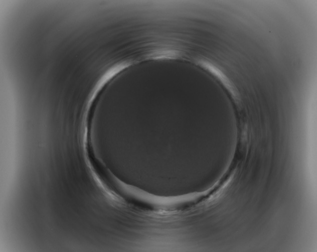 X0000088141418200705211127