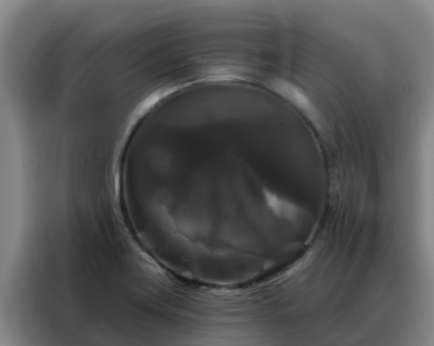 X0000088141419200705211127