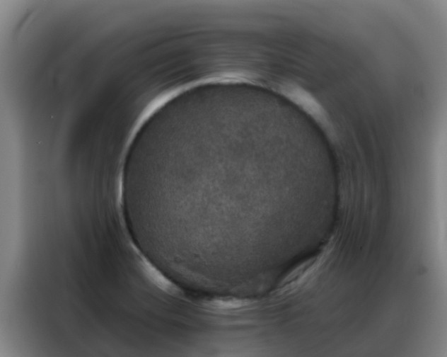 X0000088141420200705211127