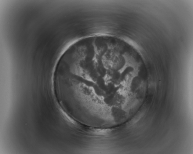 X0000088141423200705211127