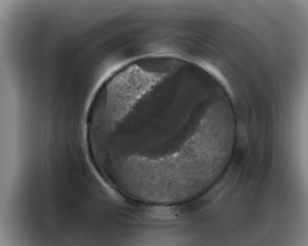 X0000088141424200705211127
