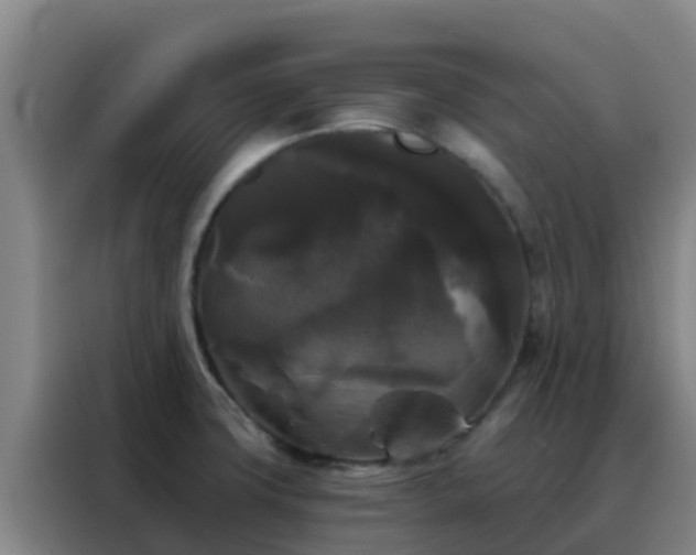 X0000088141427200705211127