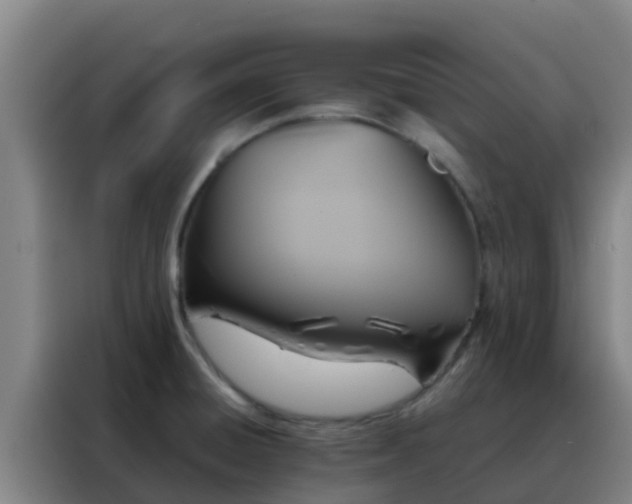 X0000088141428200705211127