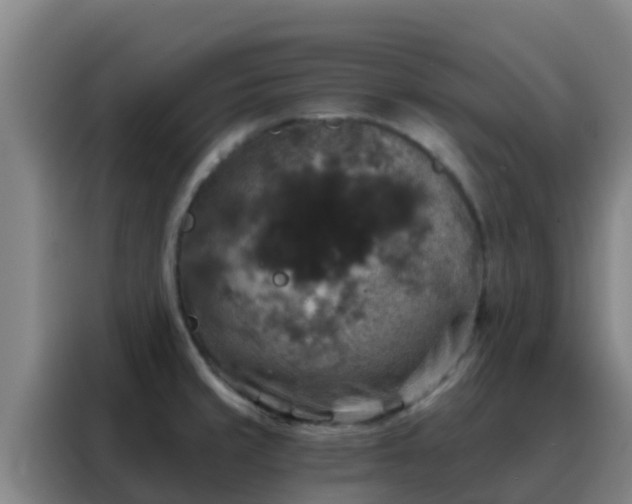 X0000088141429200705211127