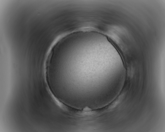X0000088141430200705211127
