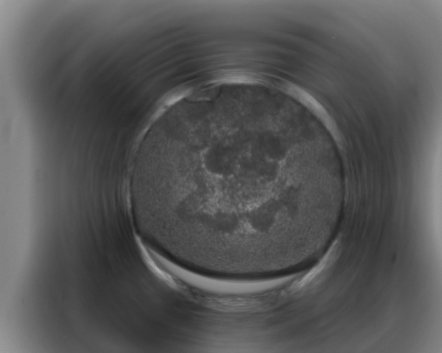 X0000088141433200705211127