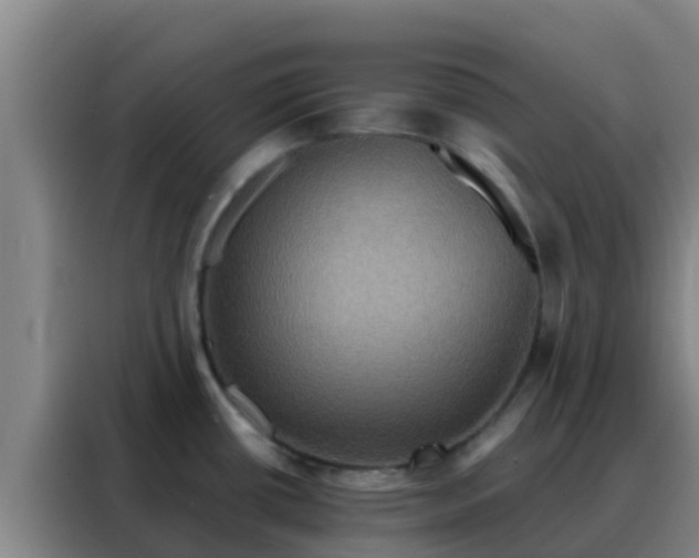 X0000088141434200705211127