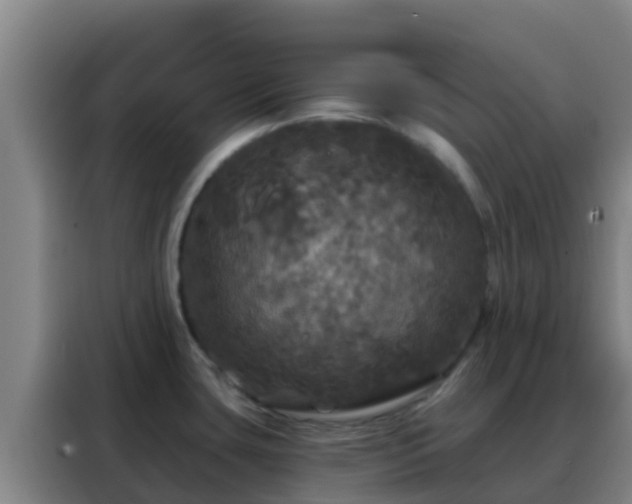 X0000088141435200705211127