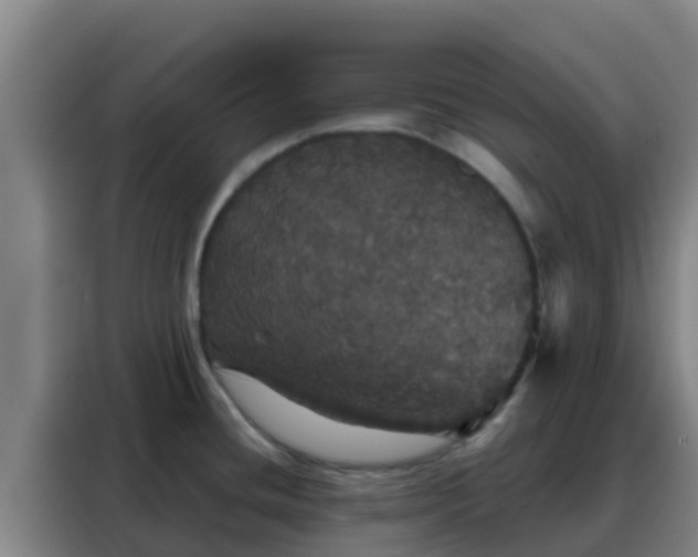 X0000088141436200705211127