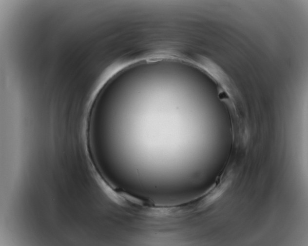 X0000088141438200705211127