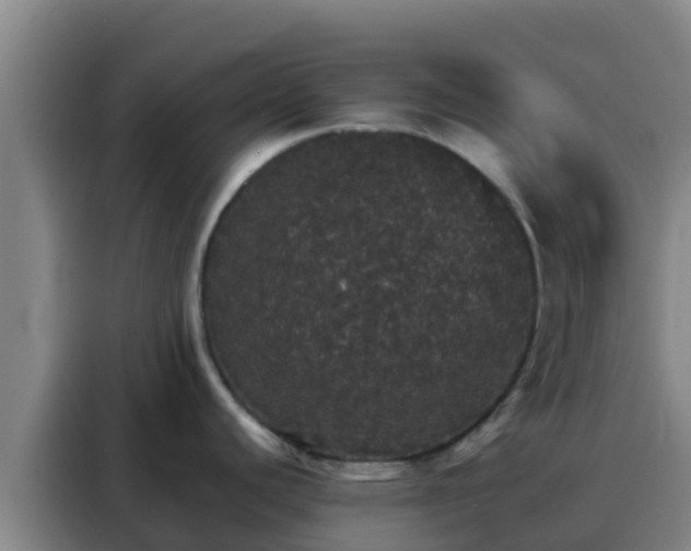 X0000088141440200705211127