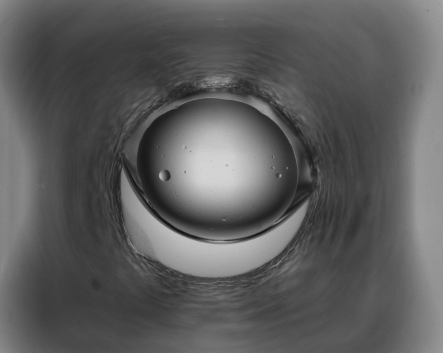 X0000088141441200705211126