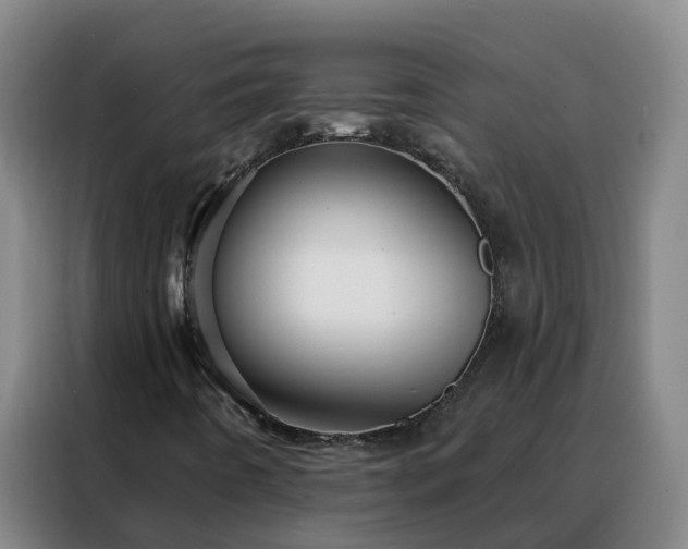 X0000088141442200705211126