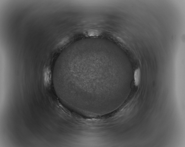 X0000088141443200705211126