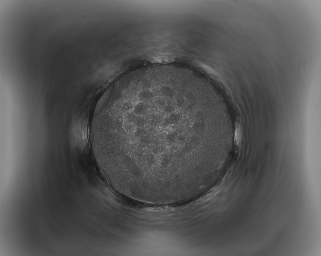 X0000088141444200705211126
