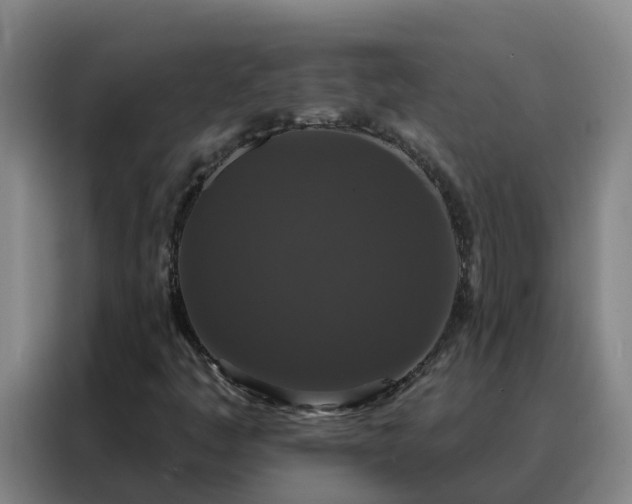 X0000088141445200705211126
