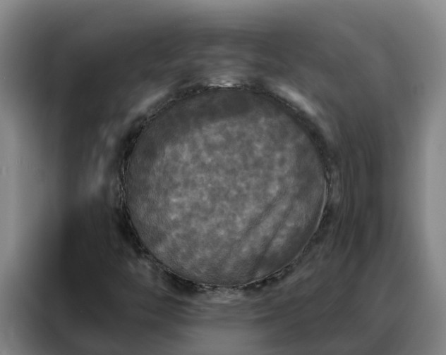 X0000088141446200705211126