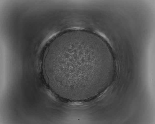 X0000088141448200705211126