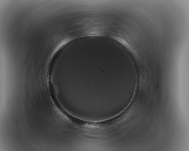 X0000088141450200705211126