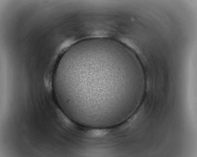X0000088141451200705211126