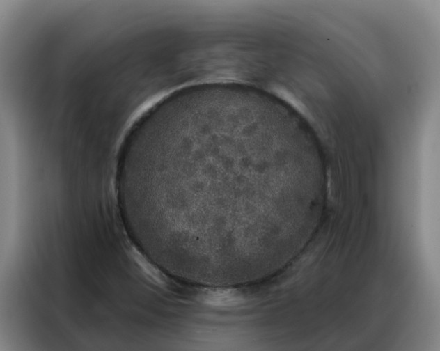 X0000088141452200705211126