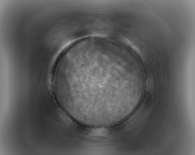 X0000088141454200705211126