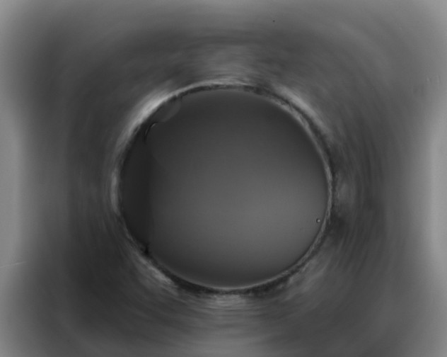 X0000088141455200705211126