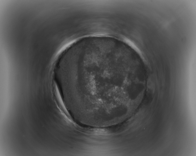 X0000088141456200705211126