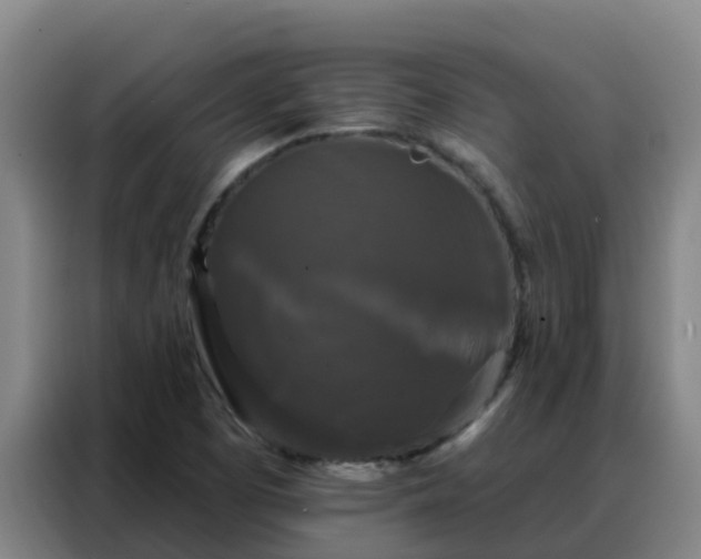 X0000088141457200705211126