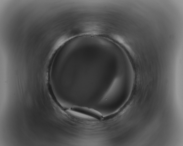 X0000088141459200705211126