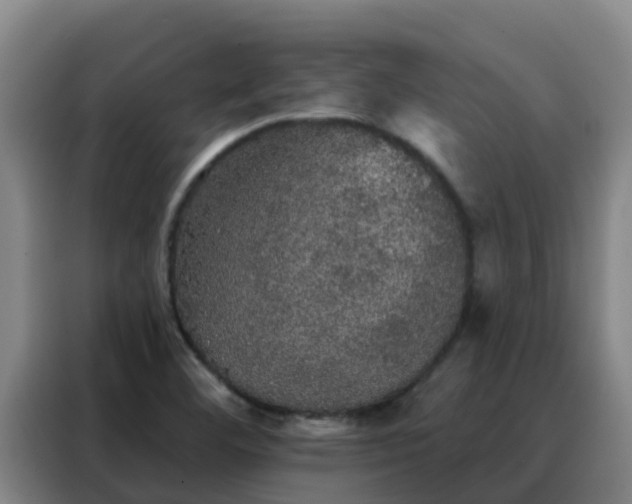 X0000088141460200705211126
