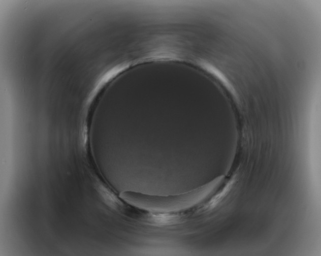 X0000088141461200705211126