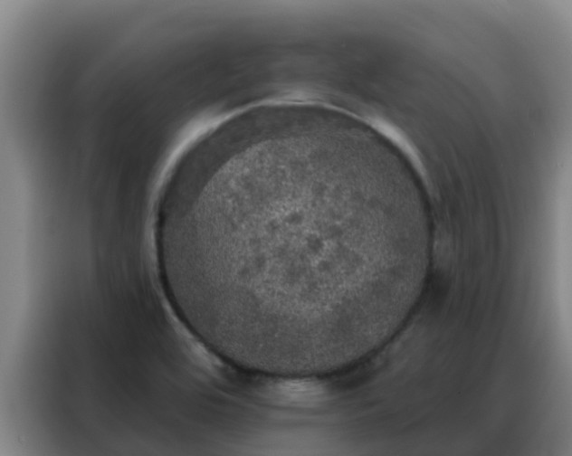 X0000088141464200705211126