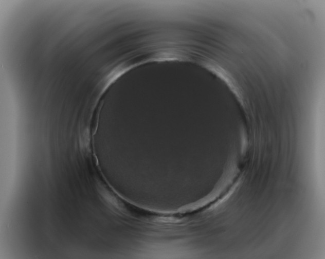 X0000088141465200705211126