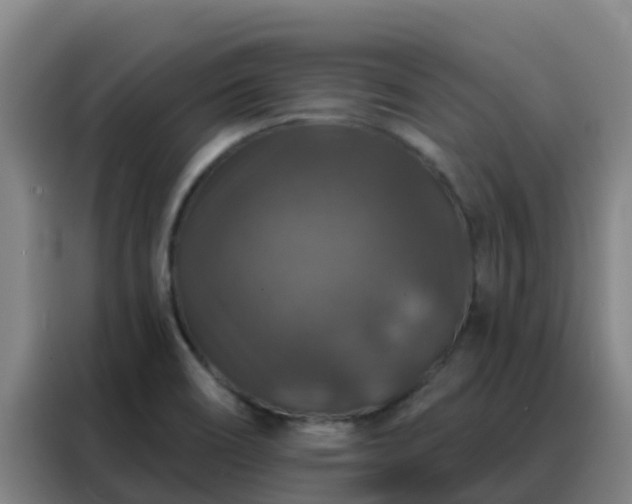 X0000088141466200705211126