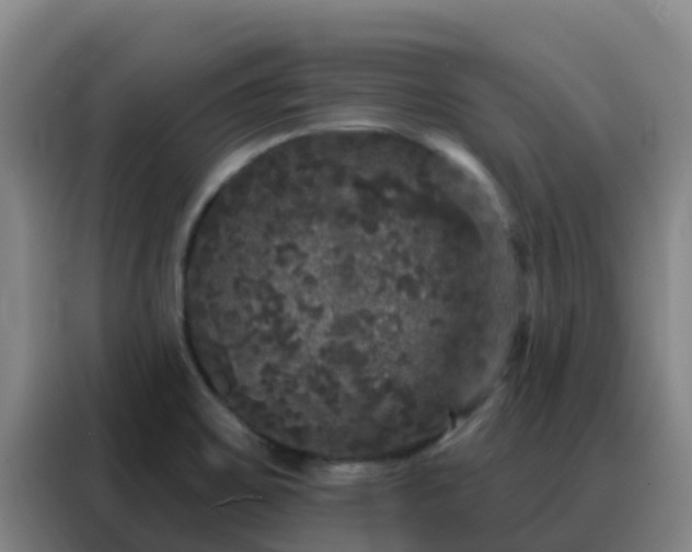X0000088141467200705211126