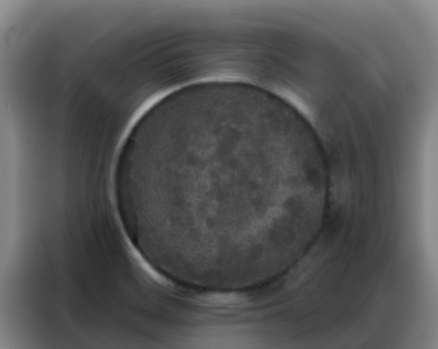 X0000088141468200705211126