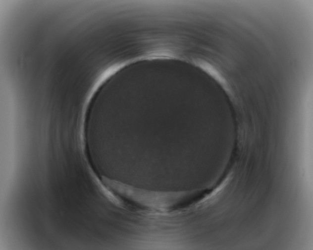 X0000088141469200705211126