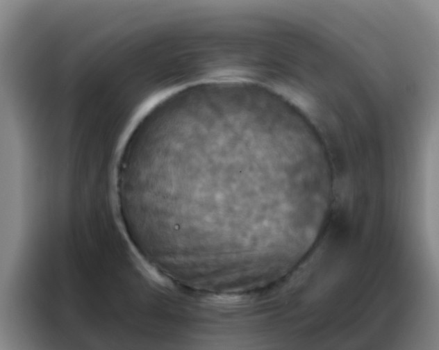 X0000088141470200705211126